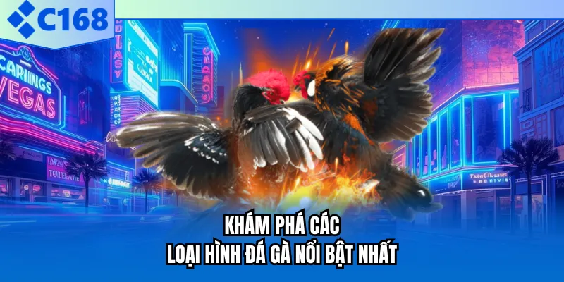 Khám phá các loại hình đá gà nổi bật nhất